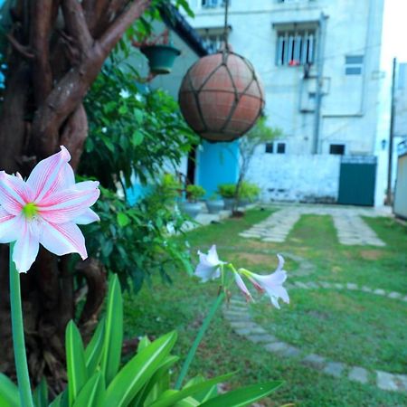 Hotel The Duchess Old à Matara Extérieur photo